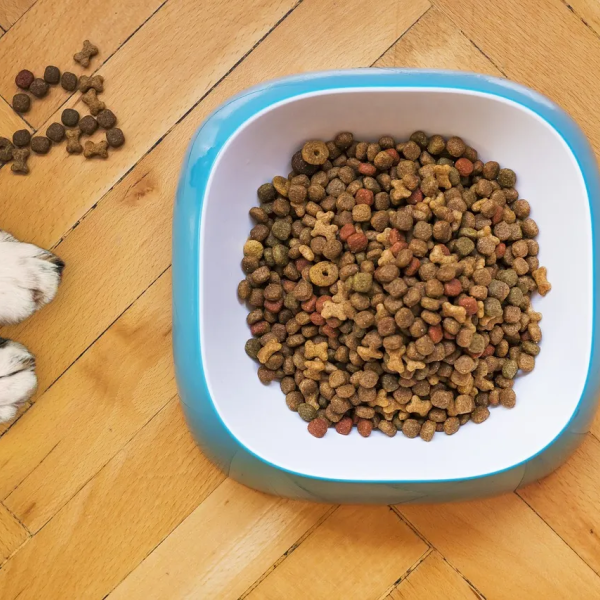 Keep in Touch Feed et Petfood : innovations et actualités européennes