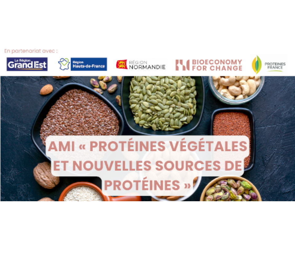 Financer vos projets avec l'Appel à Manifestation d'Intérêt (AMI) interrégional Grand-Est, Hauts-de-France et Normandie « Protéines végétales et nouvelles sources de protéines »