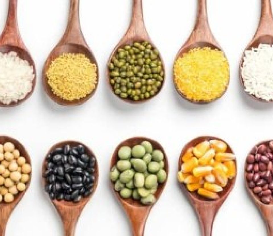 Aliments Innovants : Quand la science défie nos traditions alimentaires