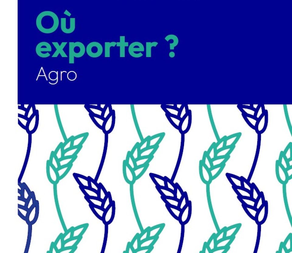 Où exporter en 2026 ?