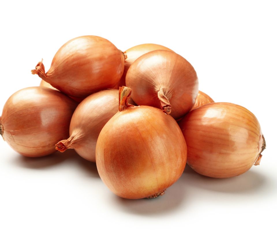 Rencontre Décarbonation chez SODELEG