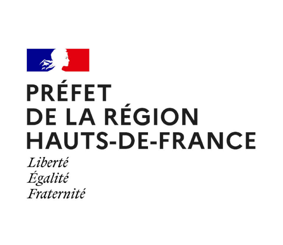 Publication du DINAII volet COLLABORATIF