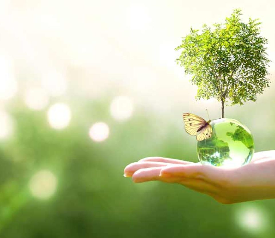 Tech Day « One Health Planet » – Microbiomes du Sol et Filières Alimentaires pour la Santé et l’Environnement