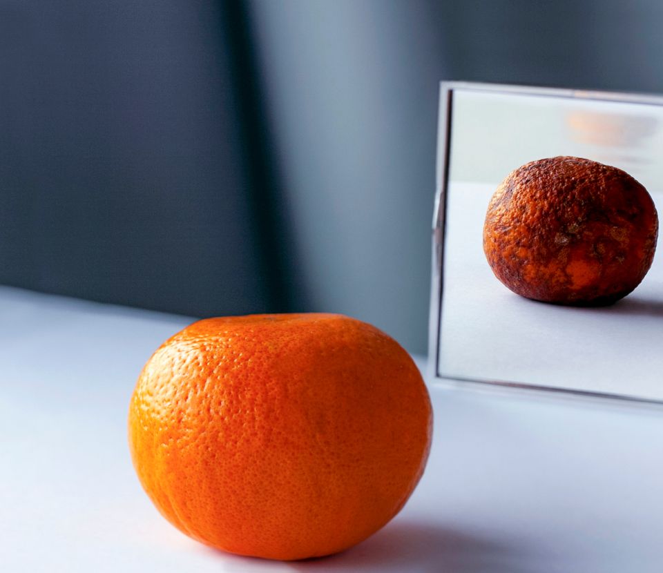 Formation Inter-entreprises MAITRISE DE LA FRAUDE en Industrie AgroAlimentaire