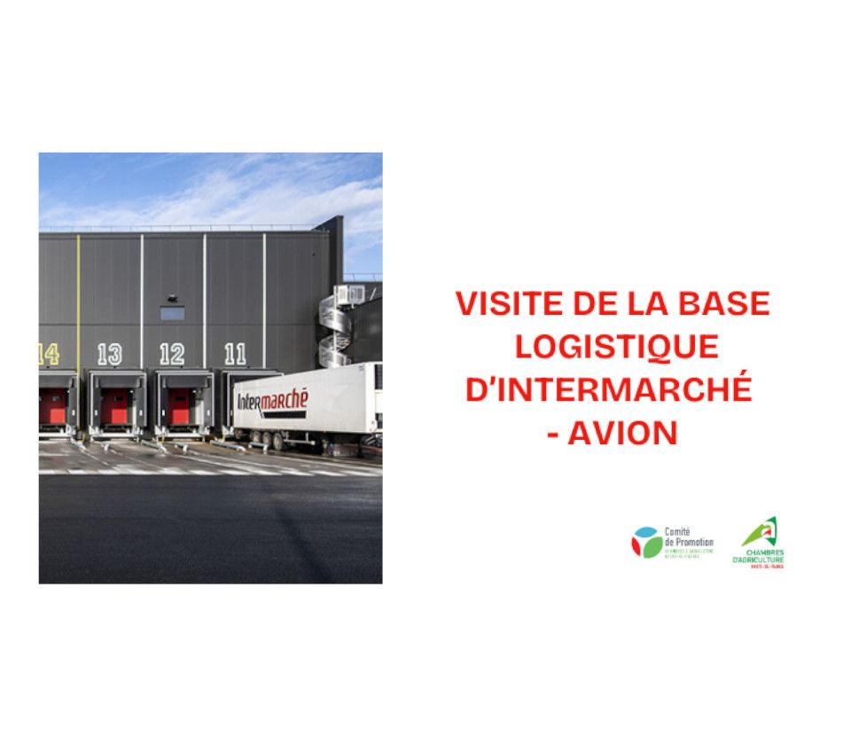 Visite de la base logistique Intermarché à Avion : une immersion au cœur de la distribution