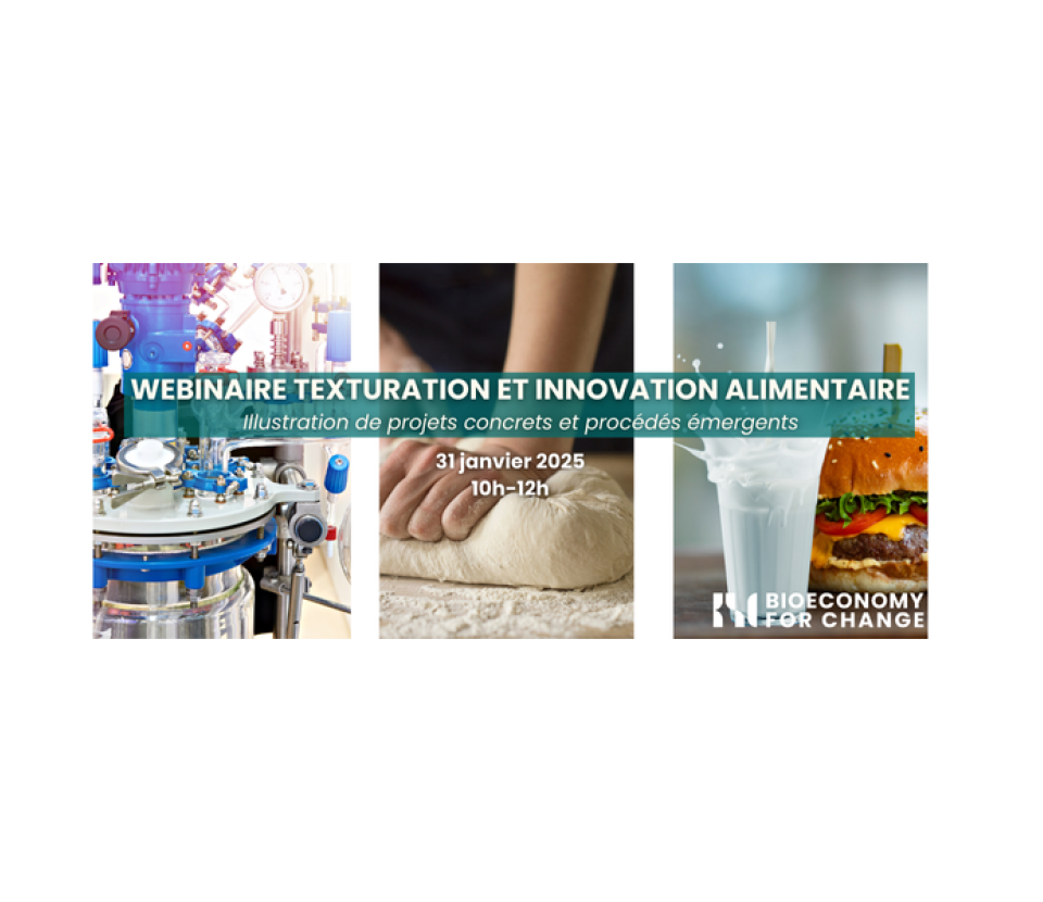 Webinaire Texturation et Innovation alimentaire