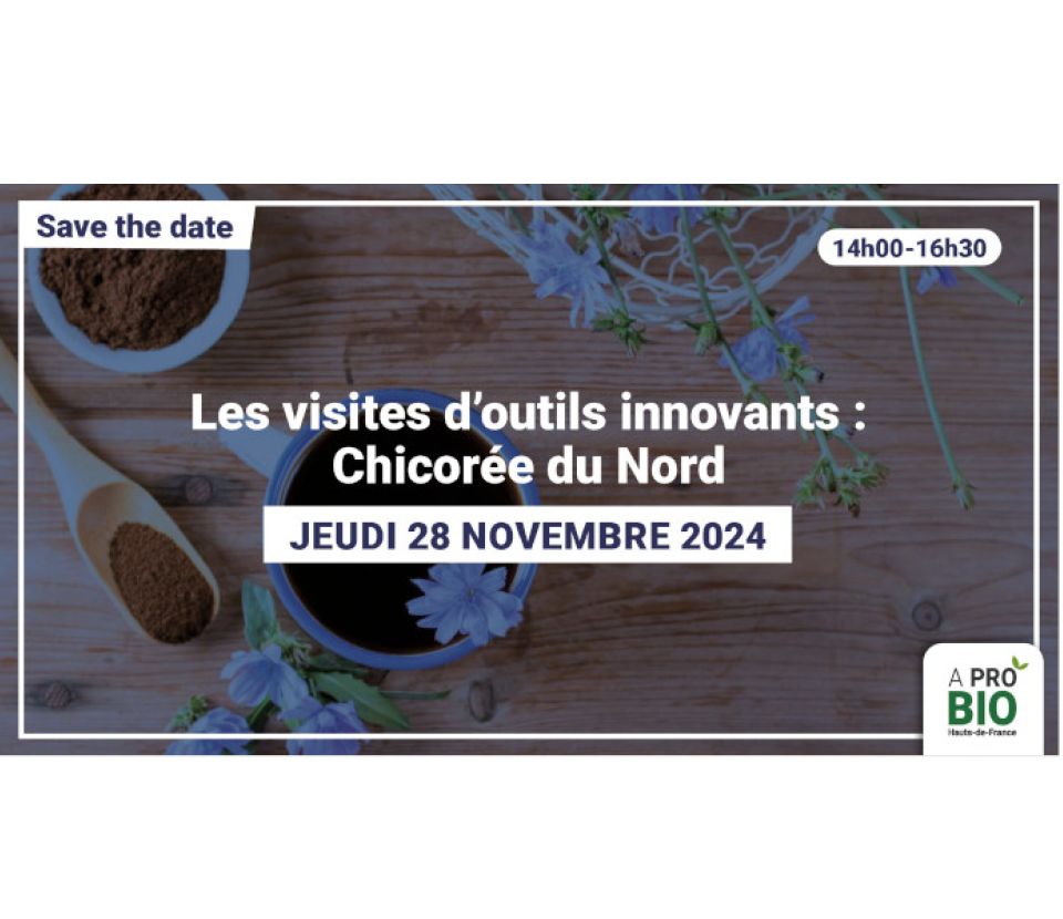 Les visites d'outils innovants : Chicorée du Nord