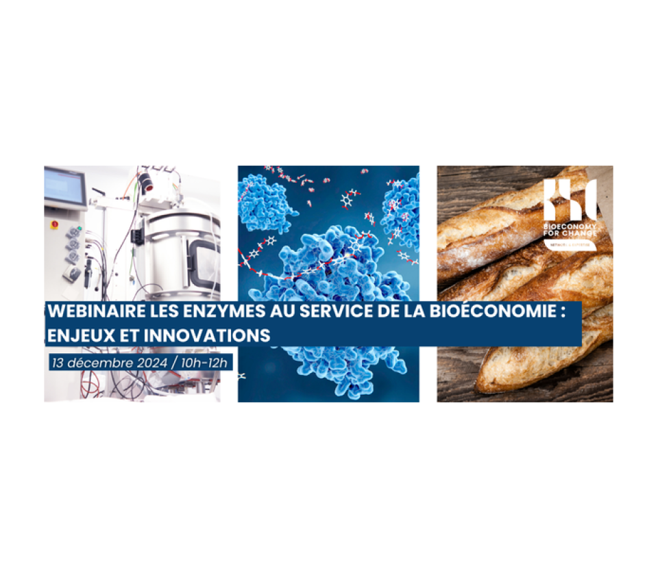 Webinaire Les enzymes au service de la bioéconomie : enjeux et innovations