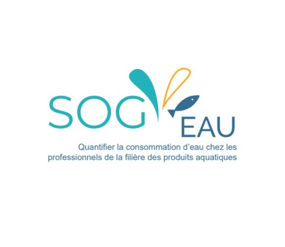 Restitution du projet SOG’EAU