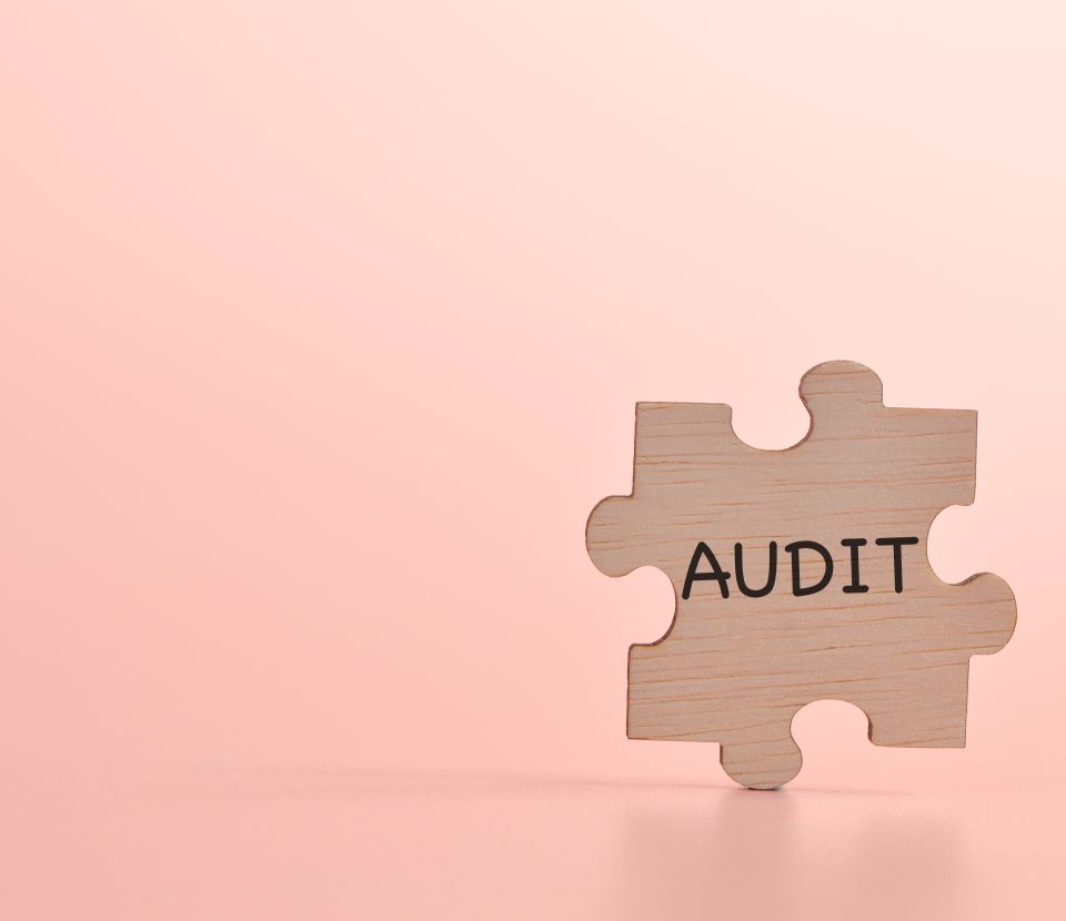 Formation Inter-entreprises - PERFECTIONNEMENT A L’AUDIT INTERNE