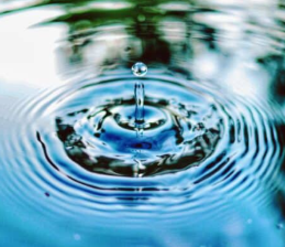 Quelles solutions pour l'optimisation et le traitement de l'eau ?