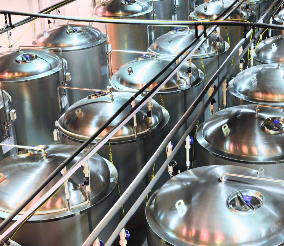 Webinaire (fermentation) Biomanufacturing : success stories & tools