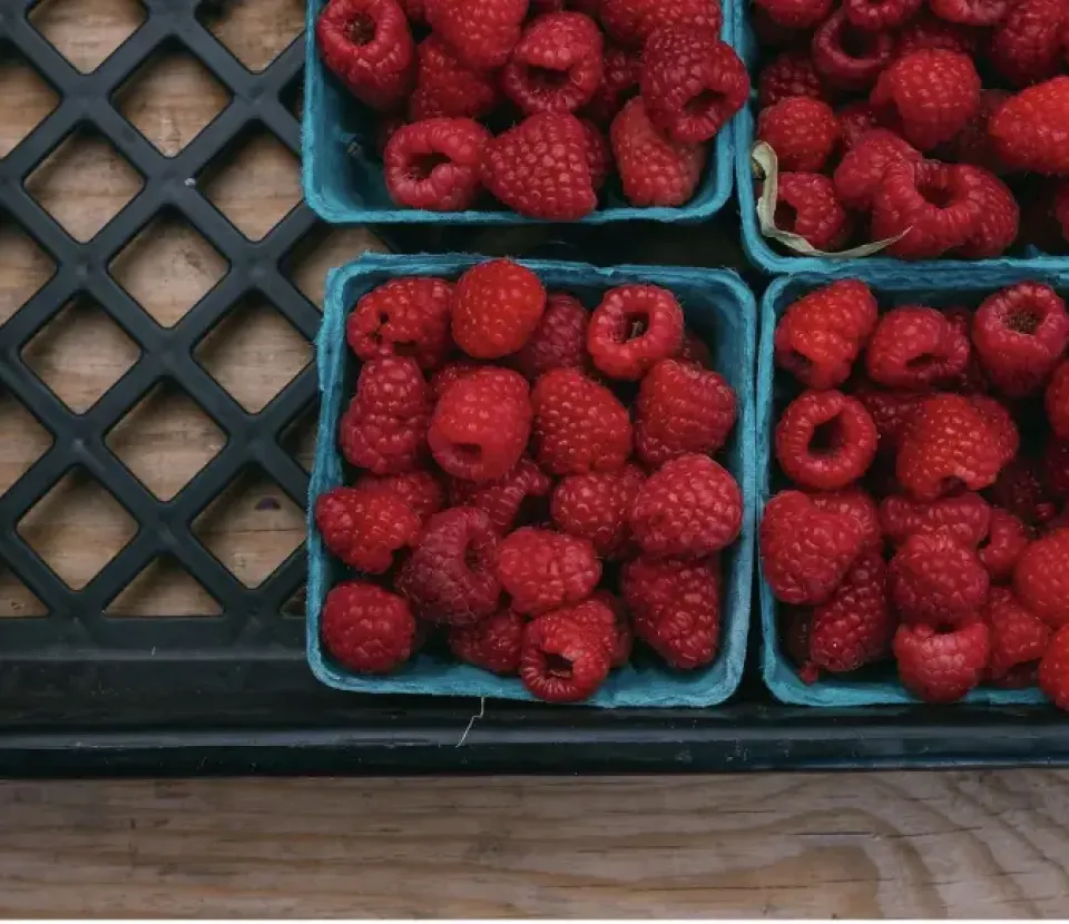 Colloque Emballages Alimentaires : innovations, durabilité et perspectives