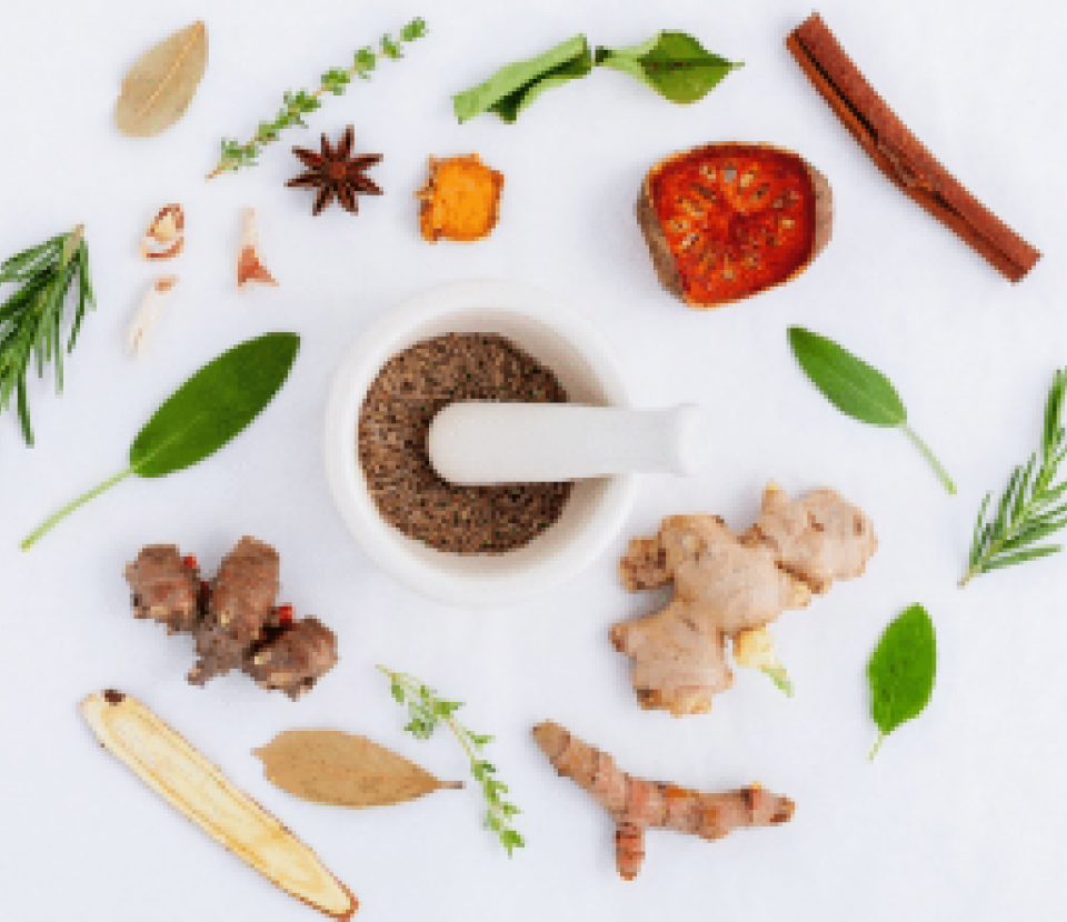 Conférence - Regards croisés sur la nutrition spécialisée