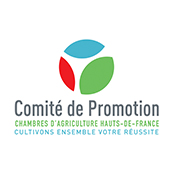 Comité de promotion